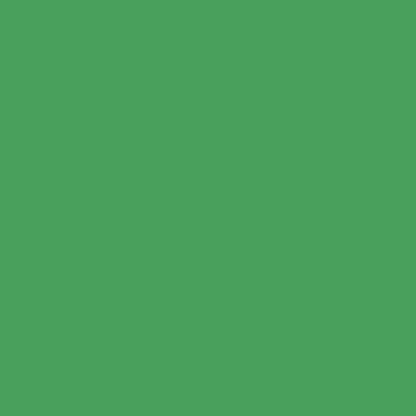 COLORAMA 2.72 X 11M CHROMAGREEN - COP133 - RETRAIT EN MAGASIN UNIQUEMENT!